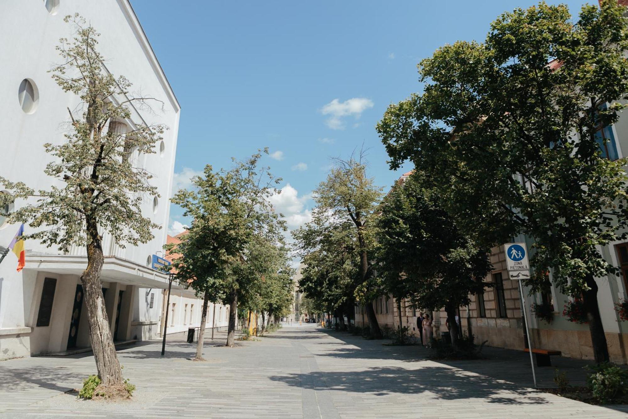 Bethlen Central Studio Kluż-Napoka Zewnętrze zdjęcie